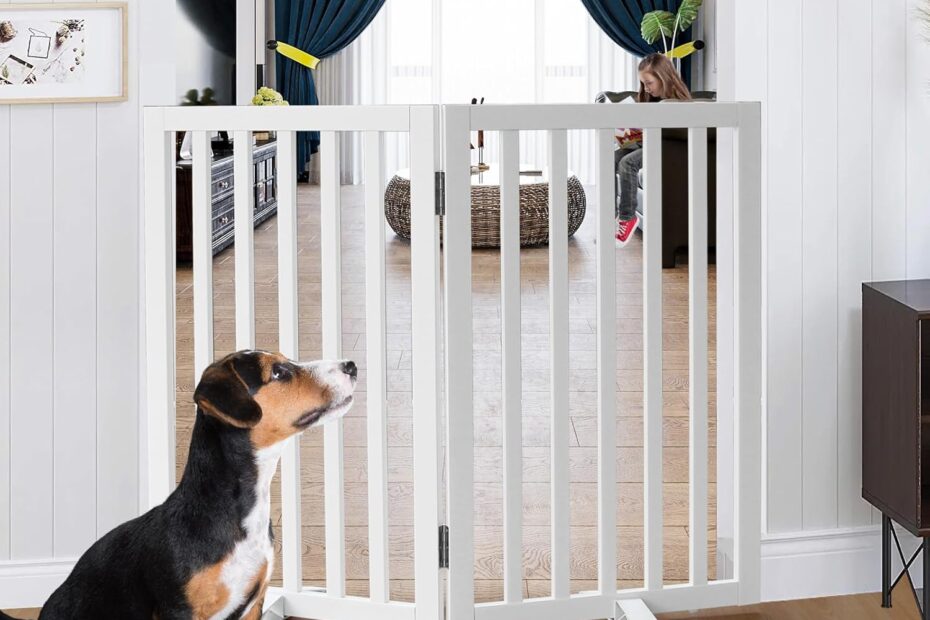 Securing Spaces: The Ultimate Freestanding Dog Gate Review