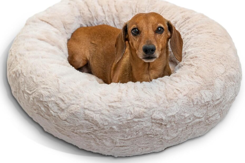 Snuggle-Worthy Serenity: The Best Friends by Sheri Calming Donut Bed Review