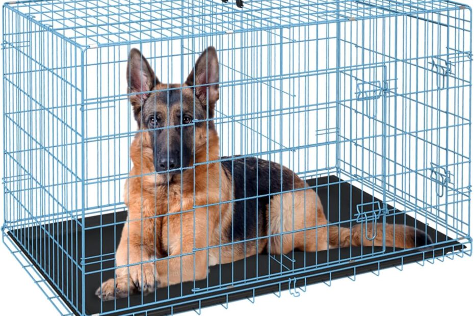 Spacious and Safe: The Ultimate Review of the FDW 48-Inch Dog Crate for Large Dogs