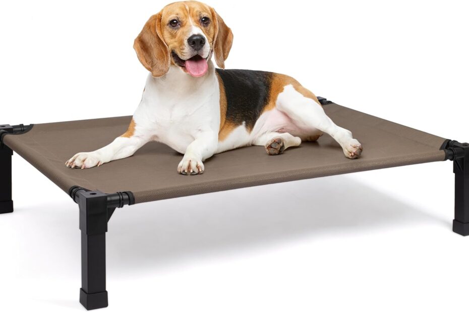 Stay Cool and Comfy: Heeyoo Elevated Dog Bed Review
