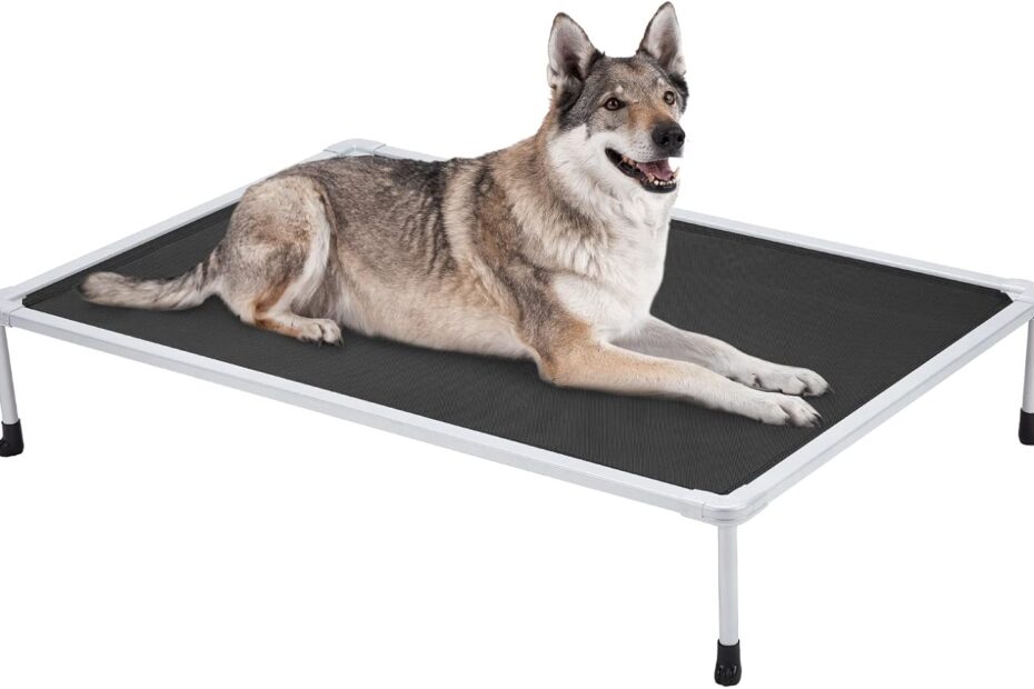 Stay Cool & Chewproof: The Ultimate Elevated Dog Bed Review!