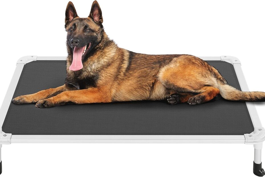 Stay Cool & Chew-Proof: The Ultimate Elevated Dog Bed Review!