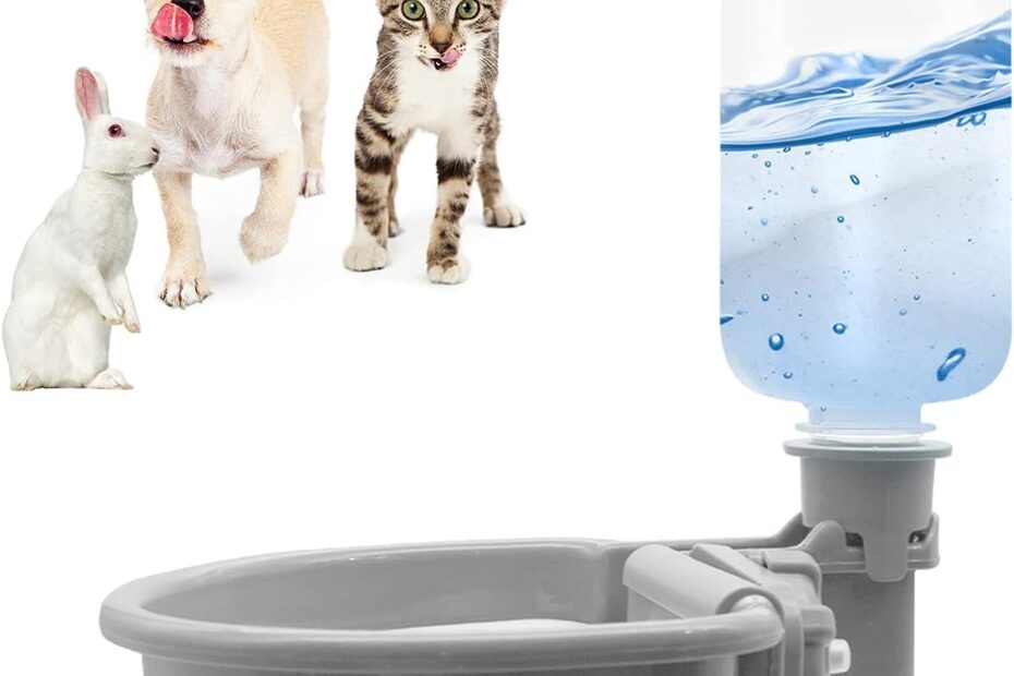 Stay Hydrated: VANNON 16oz Pet Water Bottle & Dispenser Review!