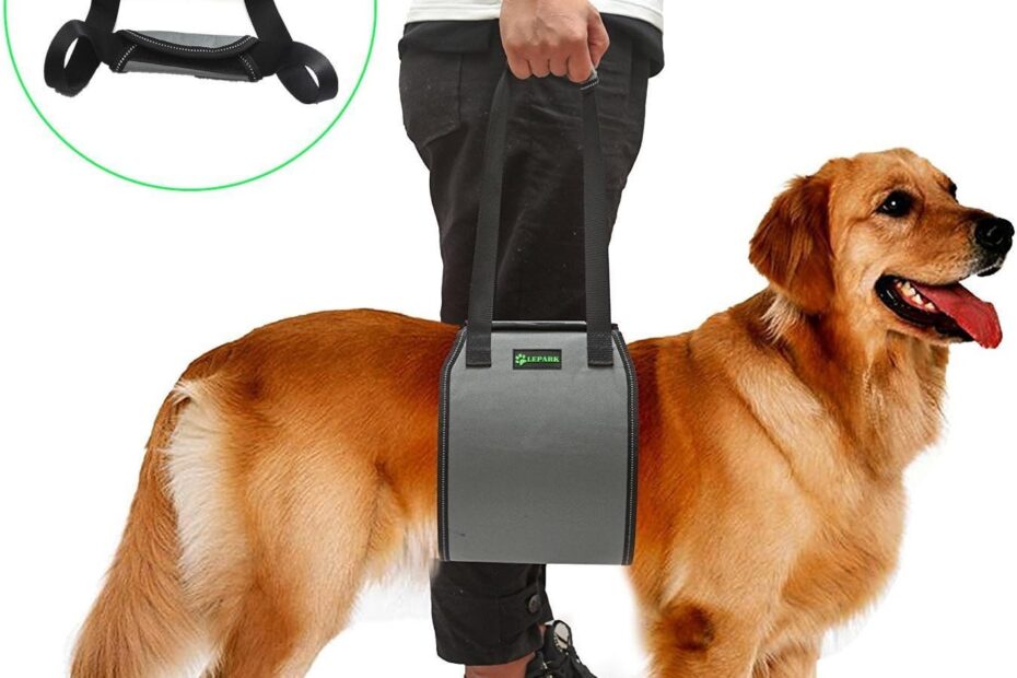 Support Your Pup: Review of the Lepark Dog Sling for Canine Rehabilitation