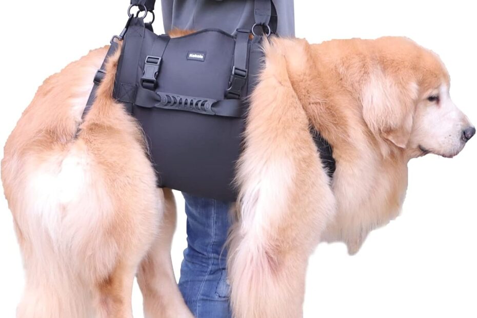 Support Your Pup: The Ultimate Dog Carry Sling for Senior Dogs and Joint Injuries