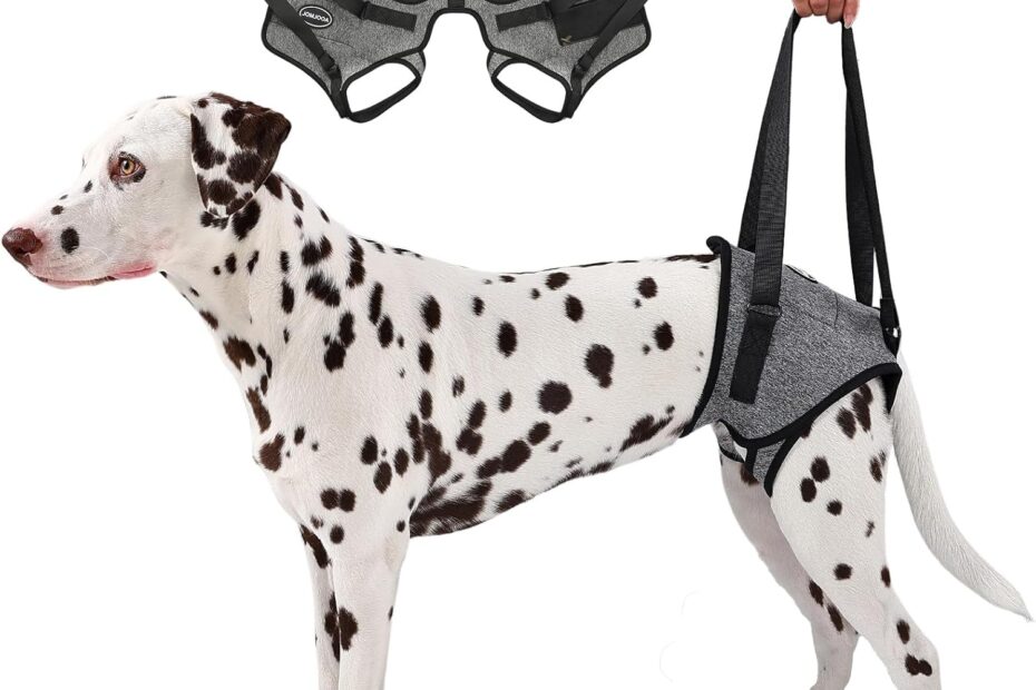 Support Your Senior Dog with the Ultimate Rear Leg Lift Sling