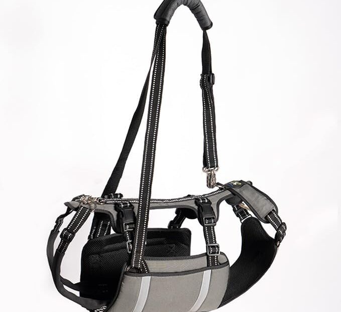 Supportive Lift: A Comprehensive Review of the COODEO Mobility Dog Harness for Senior Pups