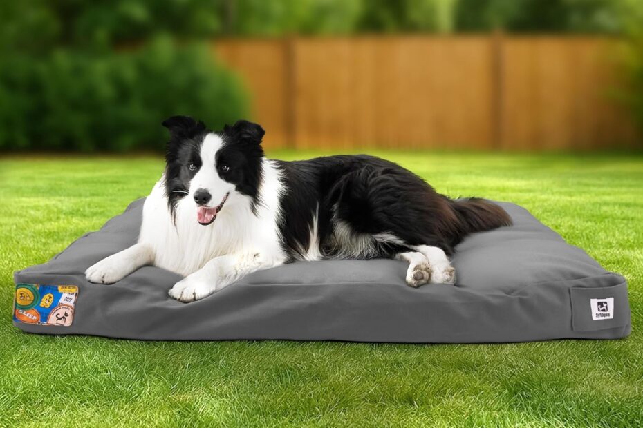 Sytopia 36-Inch Outdoor Dog Bed: The Ultimate Comfort for Your Furry Friend!