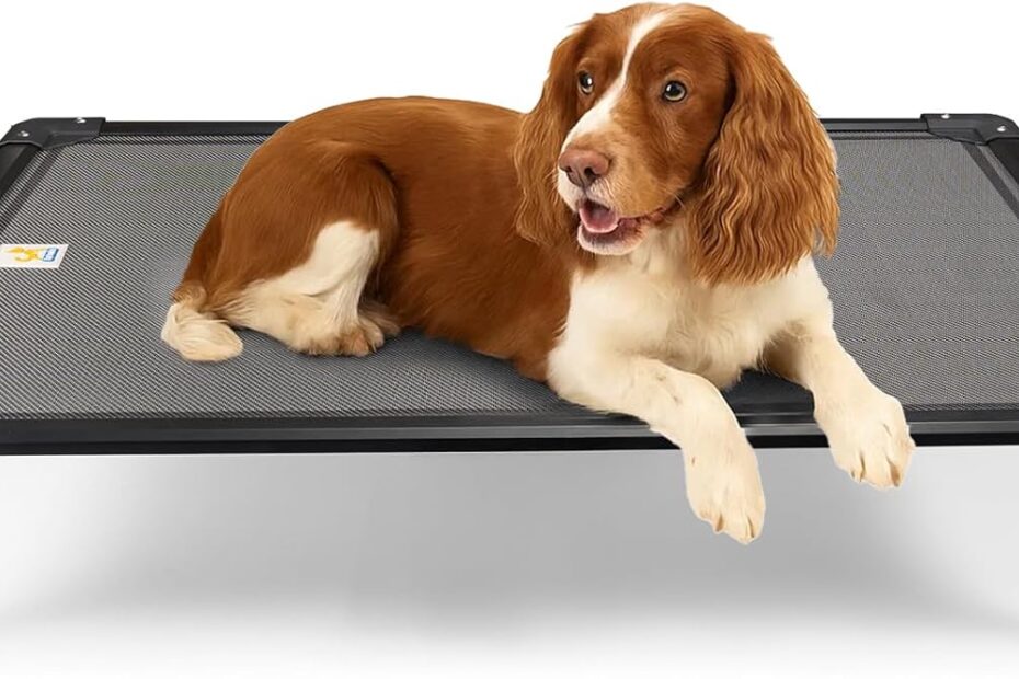 Sytopia 42'' Elevated Dog Bed: The Ultimate Comfort for Your Large Pup!