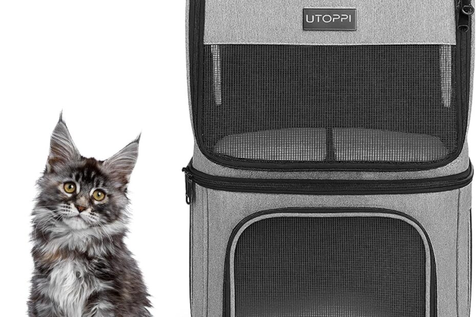 The Perfect Companion: Review of the Ultimate Cat Backpack Carrier for Adventurers