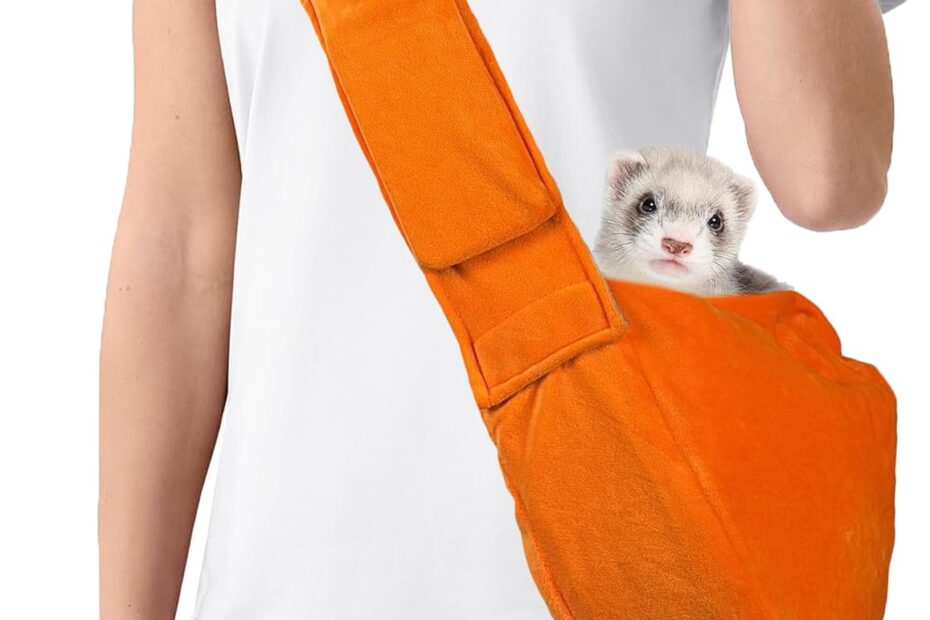 The Perfect Pup Companion: Review of the Cozy Dog Sling Carrier