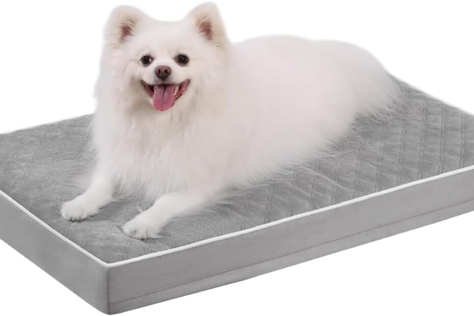 The Ultimate Comfort for Your Pup: KSIIA Orthopedic Dog Bed Review