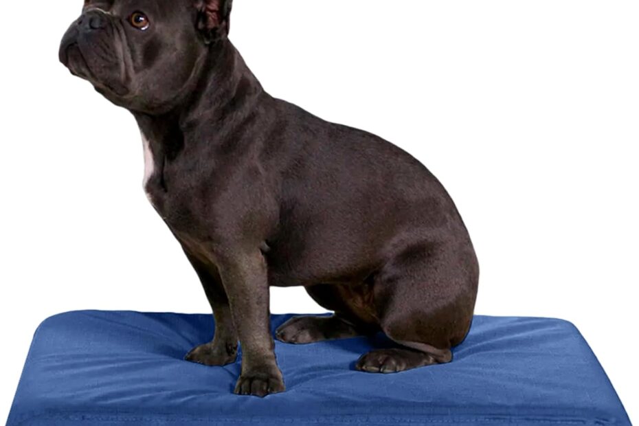 The Ultimate Comfort: K9 Ballistics Tough Orthopedic Dog Bed Review
