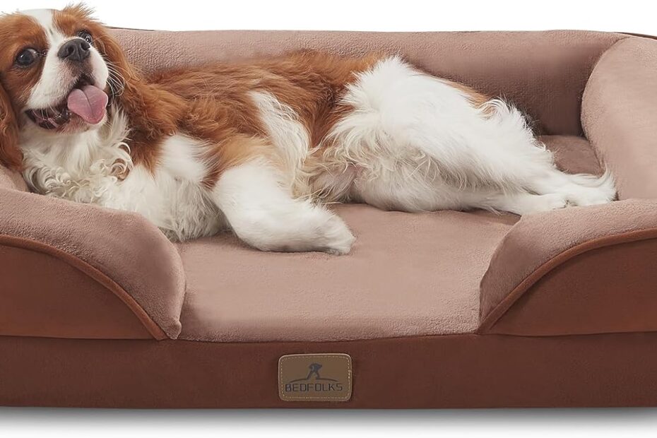 The Ultimate Comfort: Review of Bedfolks Orthopedic Dog Bed for Medium Dogs