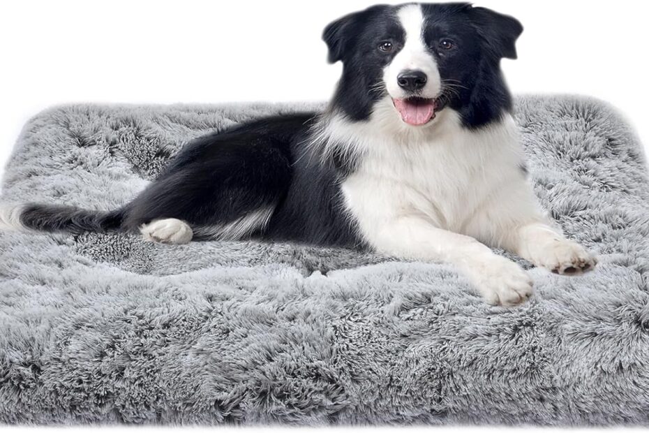 The Ultimate Comfort: Review of the Deluxe Plush Dog Bed for Small & Medium Breeds
