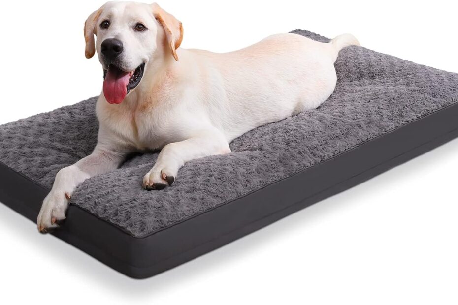 The Ultimate Comfort: Review of the Jumbo Dog Crate Bed for Extra Large Dogs