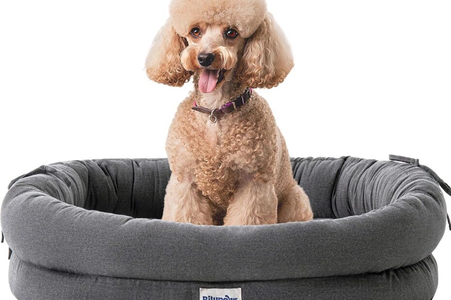 The Ultimate Comfort: Review of the Orthopedic Dog Bed for Small and Medium Dogs
