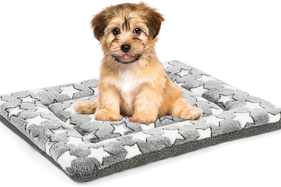 The Ultimate Comfort: Review of the Reversible Dog Bed Mat for Crate Training