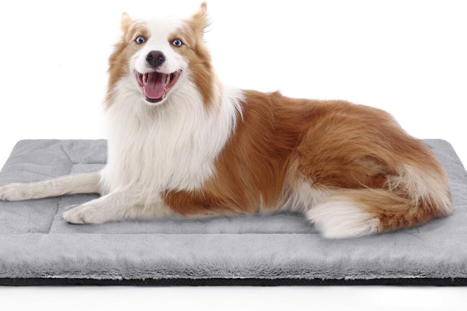 The Ultimate Cozy Comfort: Review of the Ultra Soft Faux Fur Dog Bed for Medium/Large Dogs