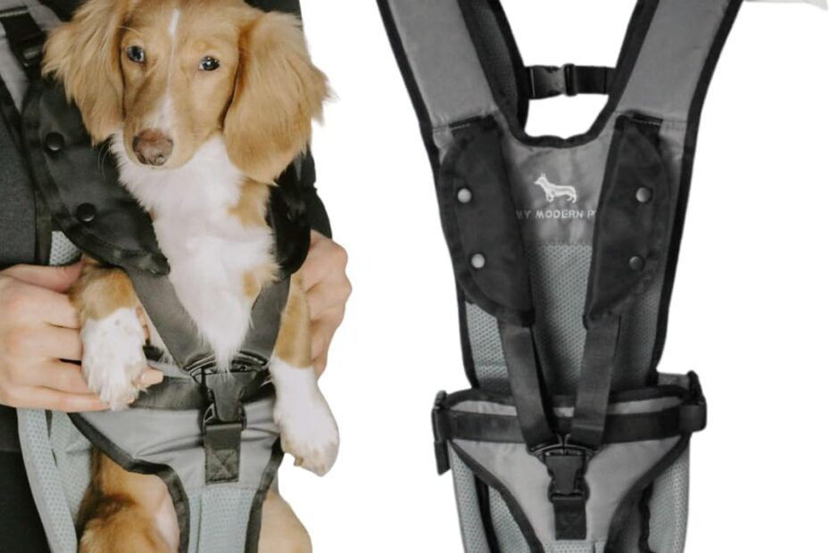 The Ultimate Dog Carrier Backpack: Comfort & Adventure for Your Furry Friend!