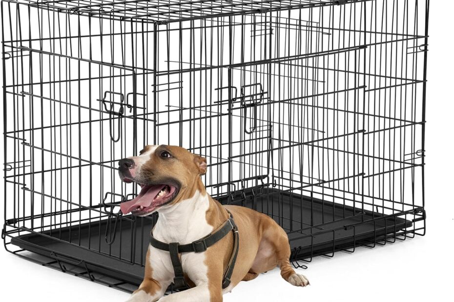 The Ultimate FDW Dog Crate Review: Comfort & Convenience for Medium Dogs!