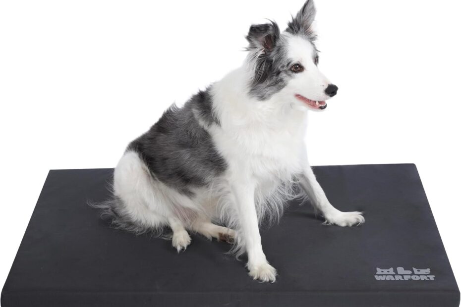 The Ultimate Guide to the Durable Outdoor Dog Bed: A Review of Comfort & Functionality!