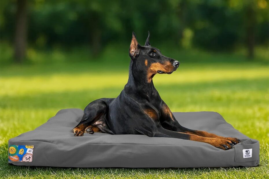 The Ultimate Guide to the Sytopia 42-Inch Indestructible Outdoor Dog Bed: Waterproof Comfort for Your Furry Friend