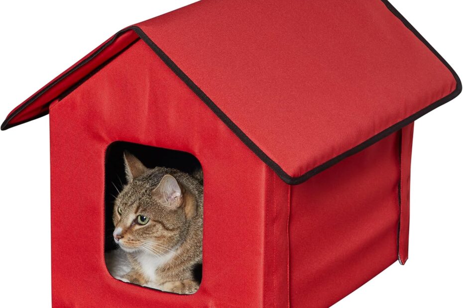 The Ultimate Heated Cat House: Keep Your Feline Friends Cozy This Winter!
