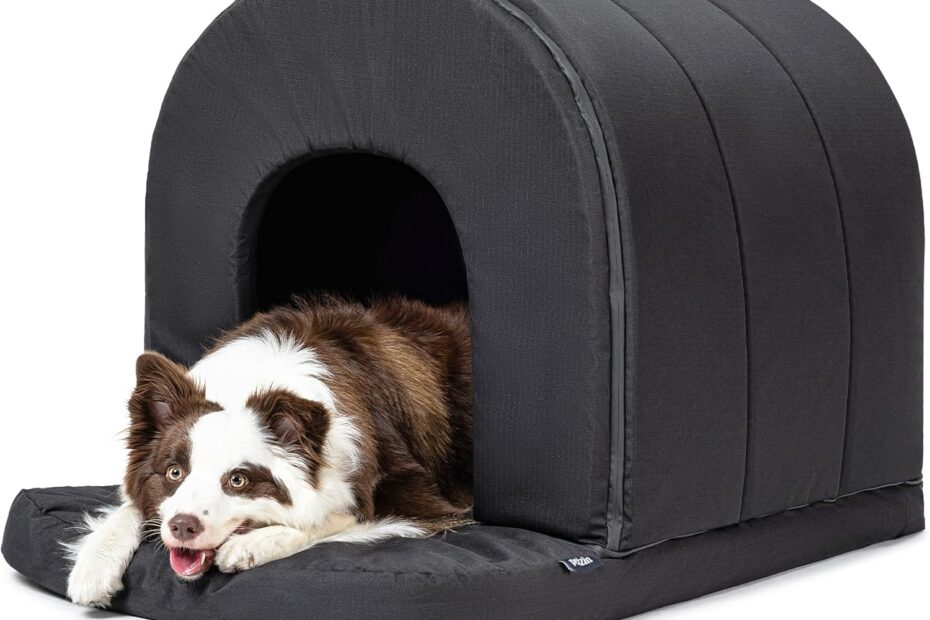 The Ultimate Orthopedic Dog House: Comfort and Durability for Large Breeds