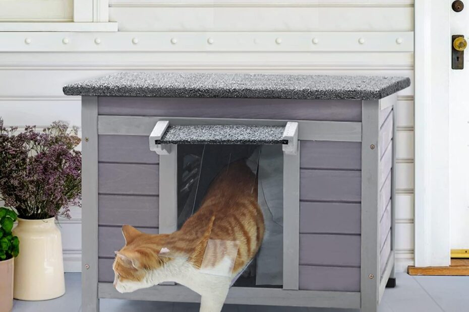 The Ultimate Outdoor Feral Cat House: A Review of the Weatherproof Bunny Hutch for Your Furry Friends