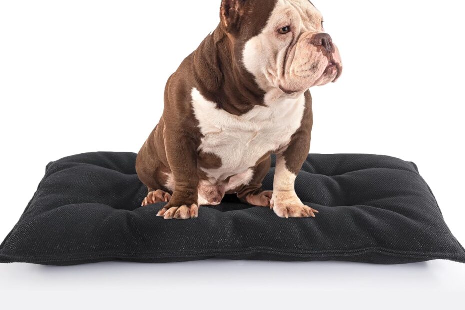 Tough as Nails: HOMBYS Chew Proof Dog Bed Review for Aggressive Chewers
