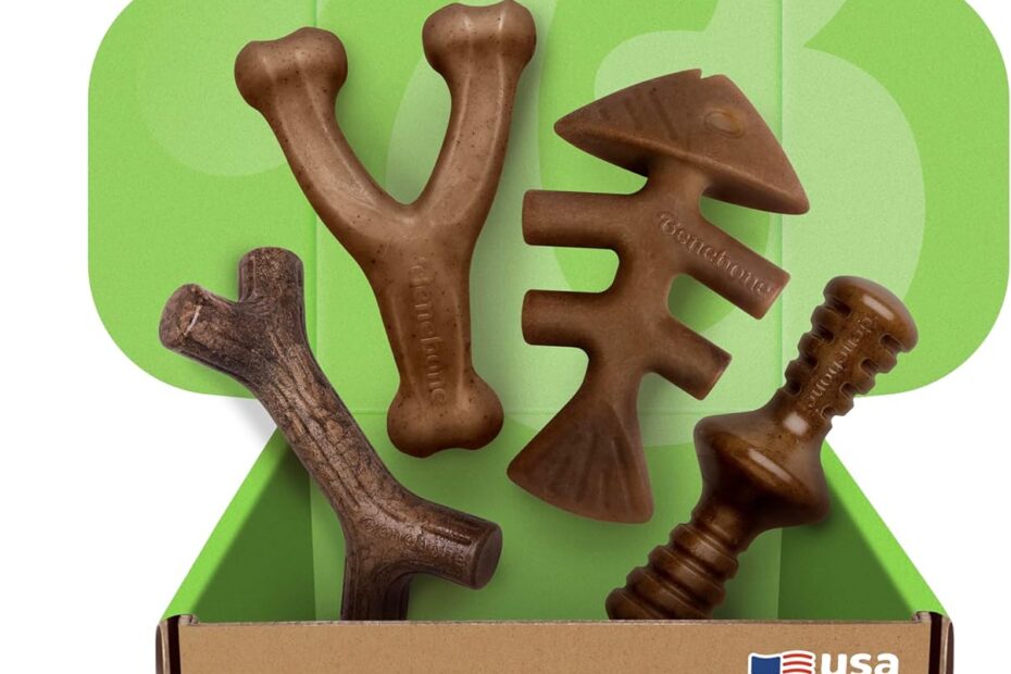 Tough Chews for Tough Dogs: Benebone Large 4-Pack Review
