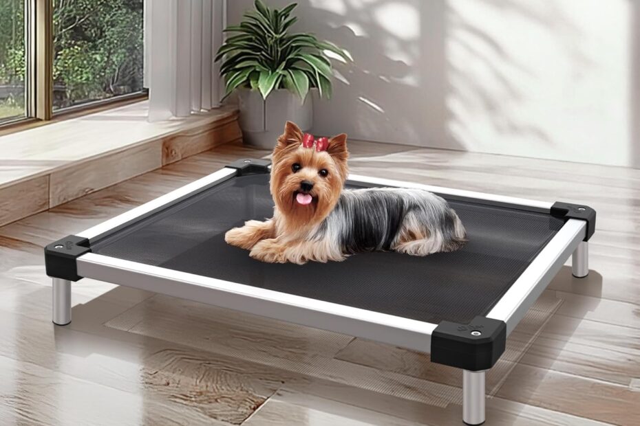 Tough Comfort: FXW TitanNest Review – The Ultimate Chew-Proof Elevated Dog Bed!