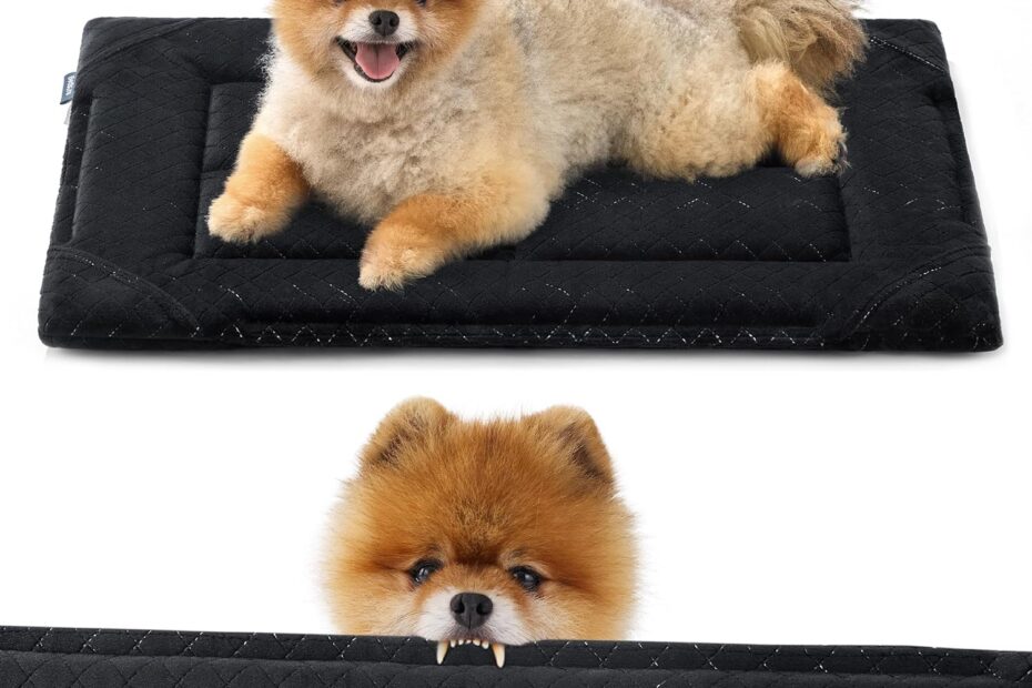 Tough & Cozy: Bedsure Chew Proof Dog Bed Review for Small Chewers!