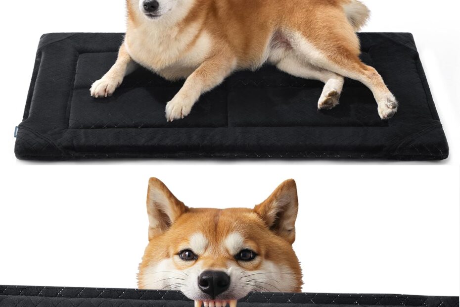Tough Love: Review of the Bedsure Indestructible Dog Bed for Heavy Chewers