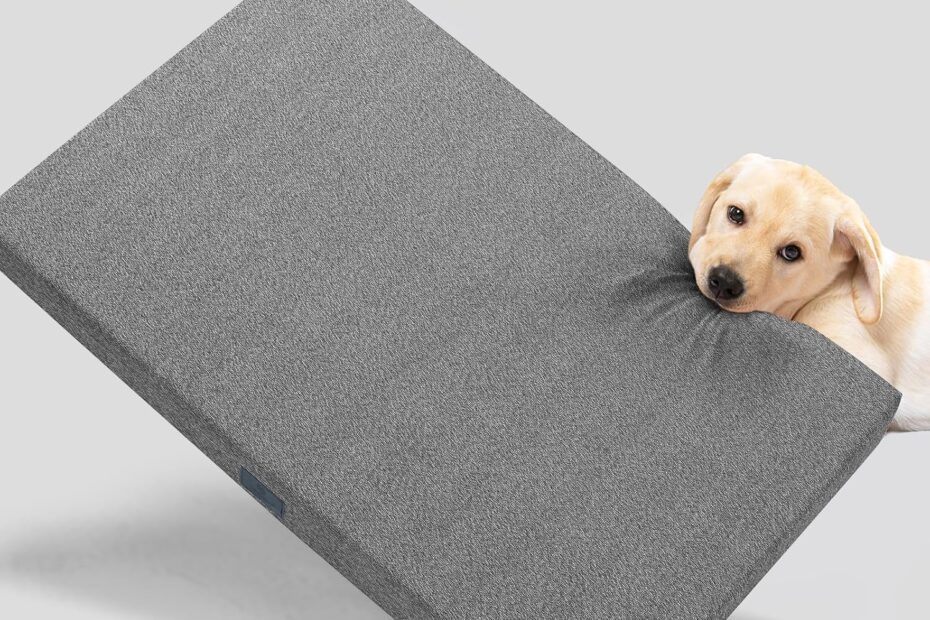 Tough Love: The Ultimate Chew-Proof Dog Bed for Destructive Pooches