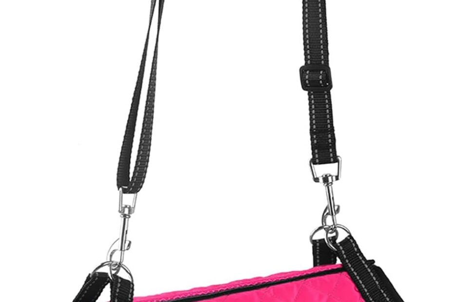 Transform Mobility: The Best Dog Lift Harness for Small Pups!