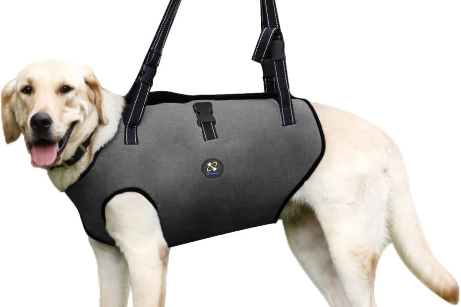 Transform Your Dog's Mobility: Review of the Coodeo Dog Lift Harness