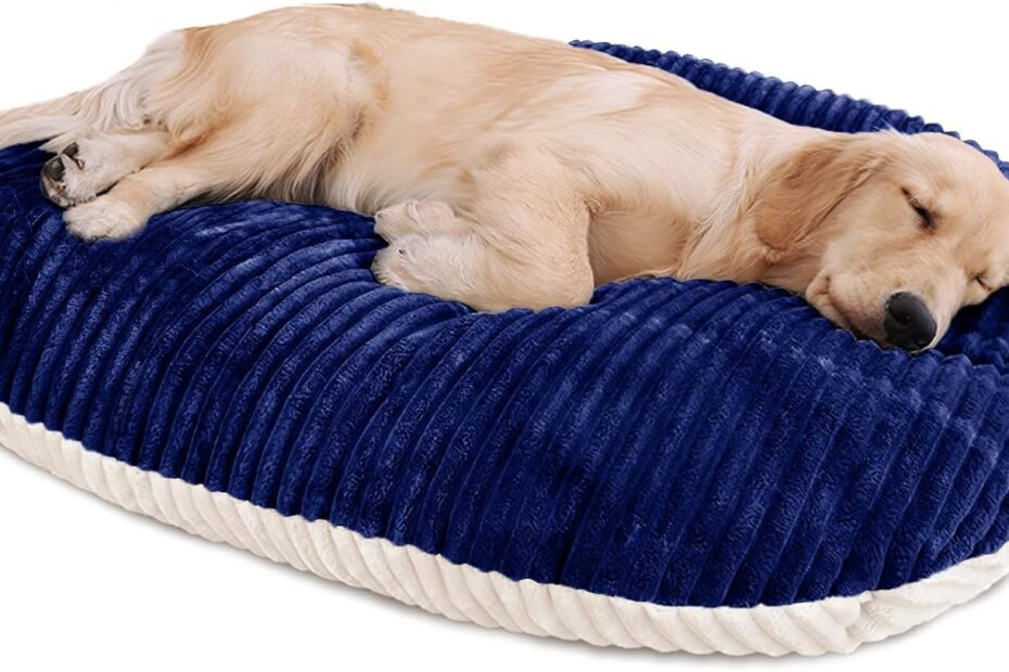 Transform Your Pet's Comfort: The Patas Lague Reversible Orthopedic Dog Bed Review