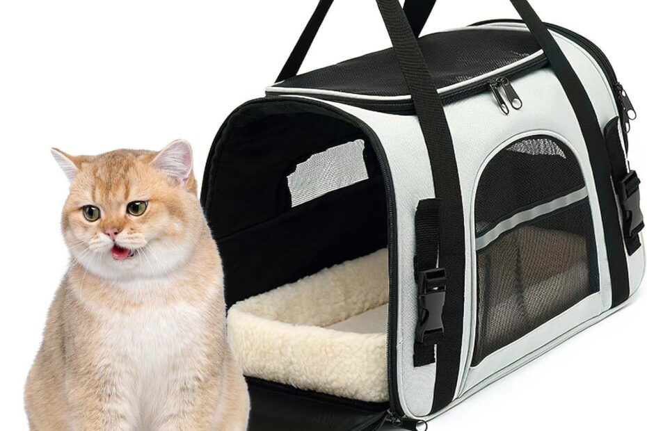 Travel in Comfort: The Ultimate Soft Cat Backpack Carrier Review
