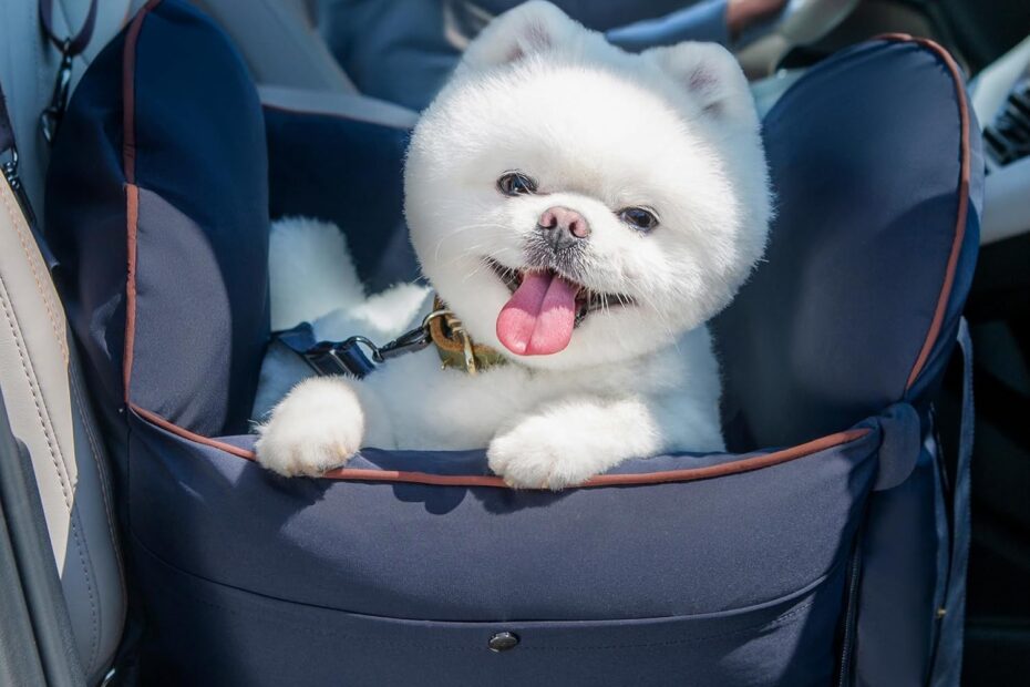 Travel in Style: Review of the BurgeonNest Luxurious Dog Car Seat for Small Dogs