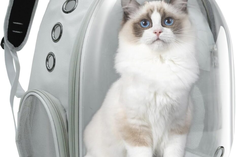 Travel in Style: The Ultimate Airline-Approved Cat Backpack Review