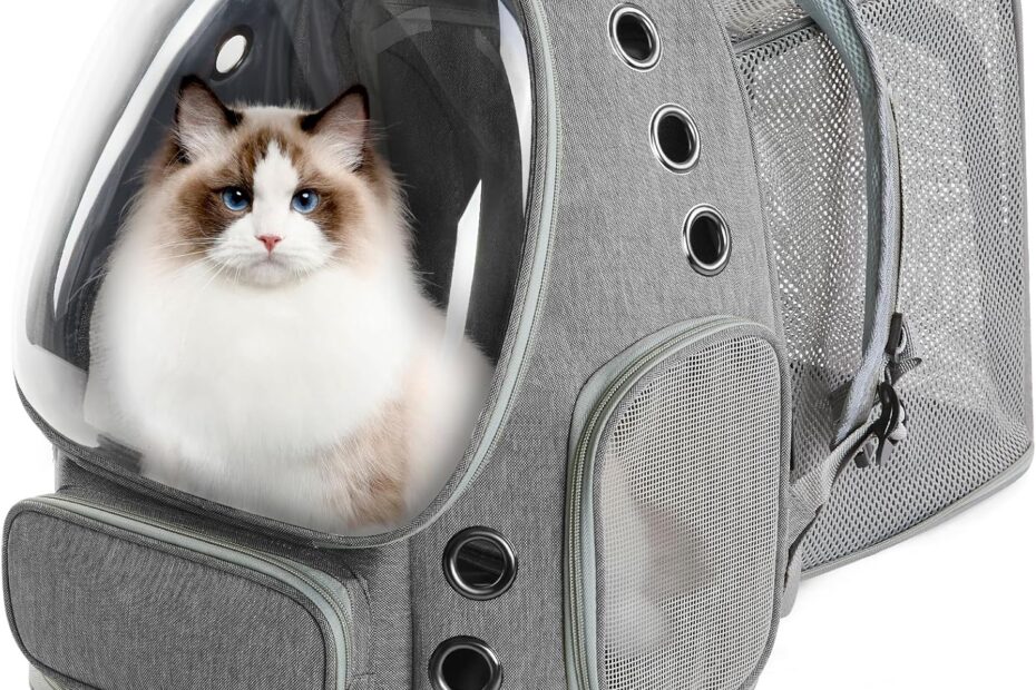 Travel in Style: The Ultimate Cat Backpack Carrier Review