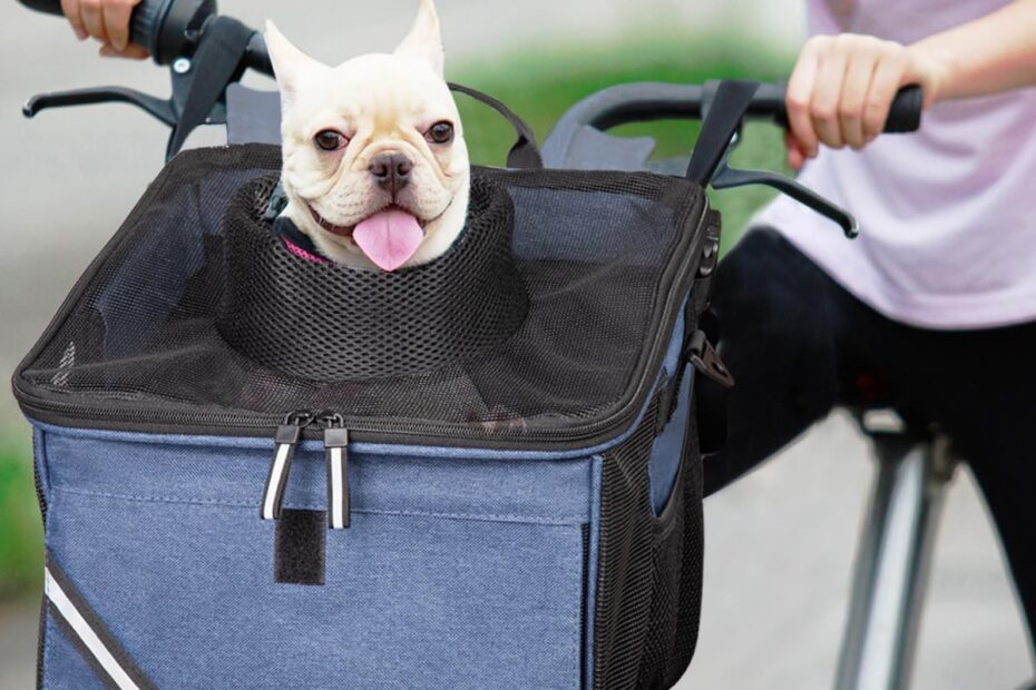 Travel in Style: The Ultimate Pet Carrier Backpack for Bikes!