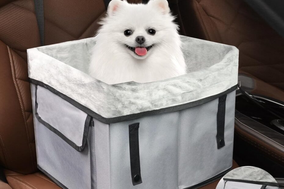 Travel Smart: The Ultimate Review of the Eunice Small Dog Car Seat