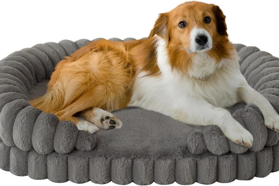 Ultimate Comfort: BALANCE Calming Dog Bed Review for Large Dogs