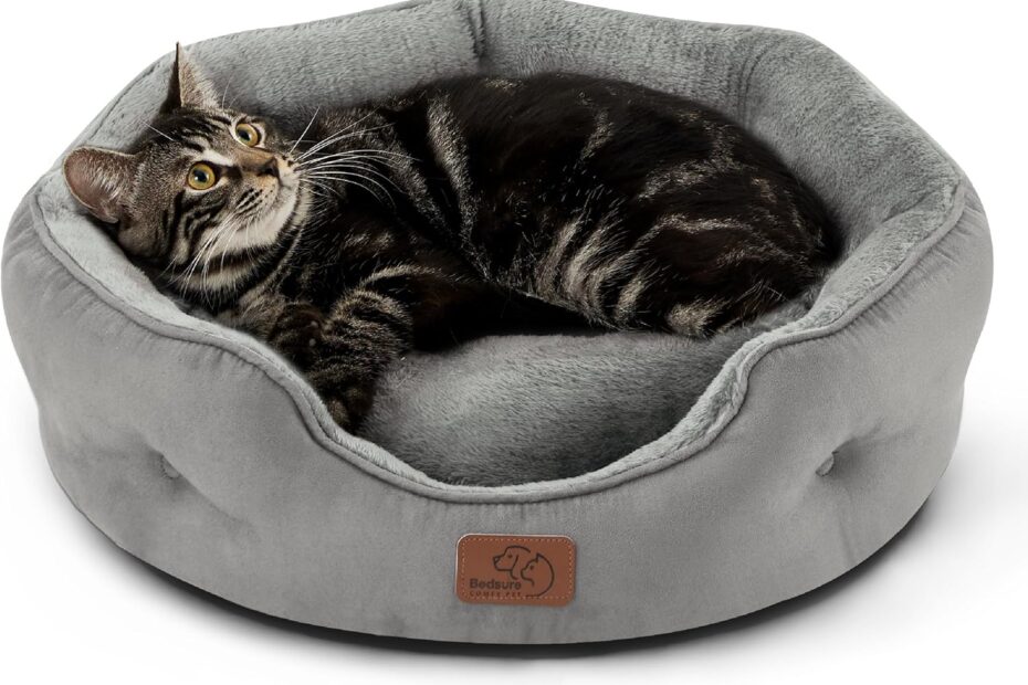 Ultimate Comfort: Bedsure Dog & Cat Beds for Small Pets Review