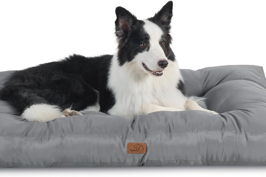 Ultimate Comfort: Bedsure Large Dog Bed Review for Your Furry Friend