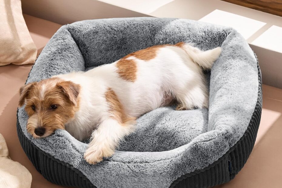 Ultimate Comfort: Bedsure Washable Dog Bed Review for Small to Medium Dogs