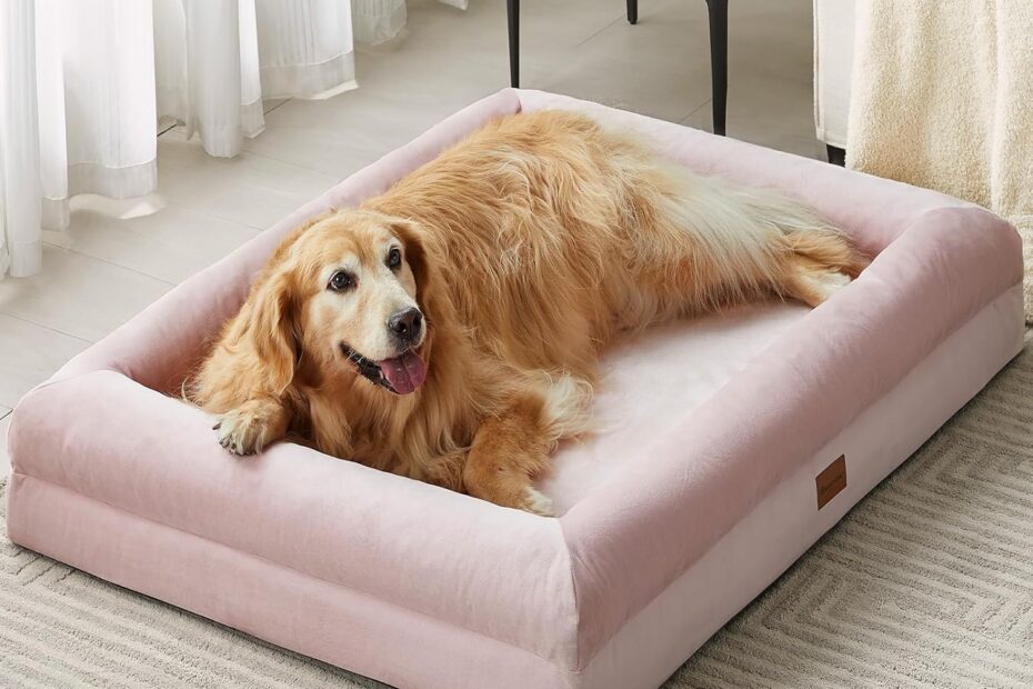 Ultimate Comfort: BFPETHOME Orthopedic Dog Bed Review for Small Dogs